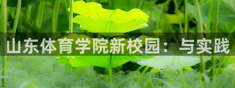 yy易游官方正版app娱乐是那个系列的台子:山东体育学院新校