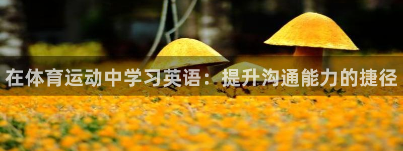 yy易游官方正版app娱乐首页官网下载:在体育运动中学习英语