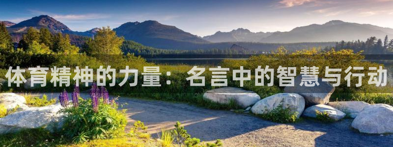 海南yy易游官网下载发展怎么样:体育精神的力量:名言中的智慧