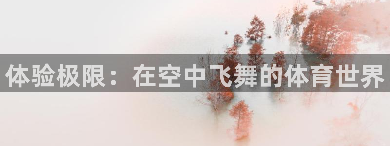 yy易游官方集团官网:体验极限:在空中飞舞的体育世界